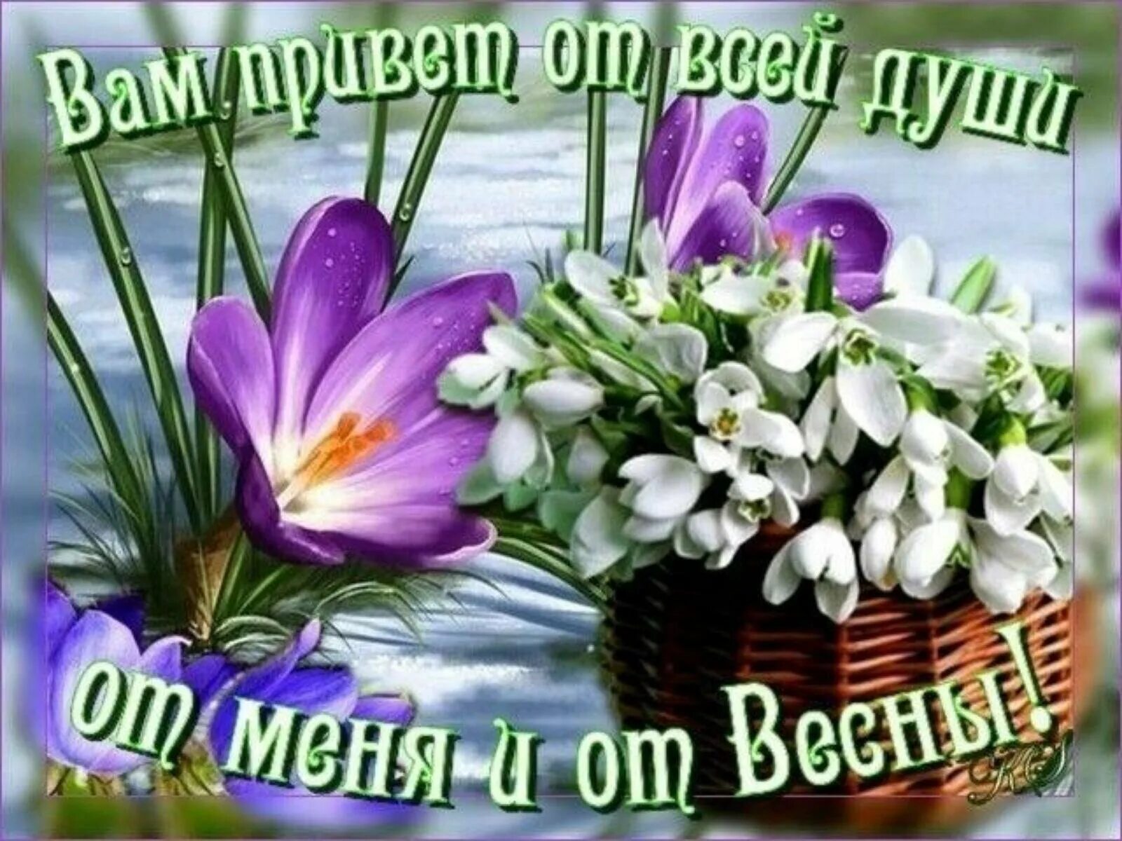 Картинки красивые необычные весенние с пожеланиями Пожелание друзьям весной - найдено 89 картинок