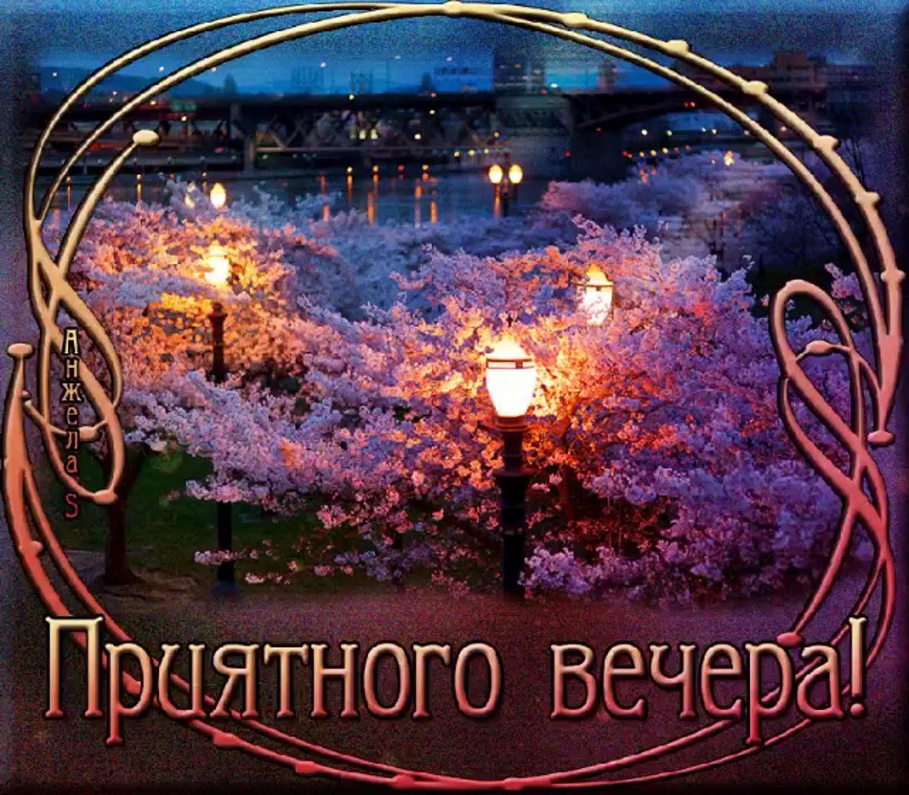 Картинки красивые новые добрый вечер с надписью Почему вечер называют вечером: найдено 81 изображений