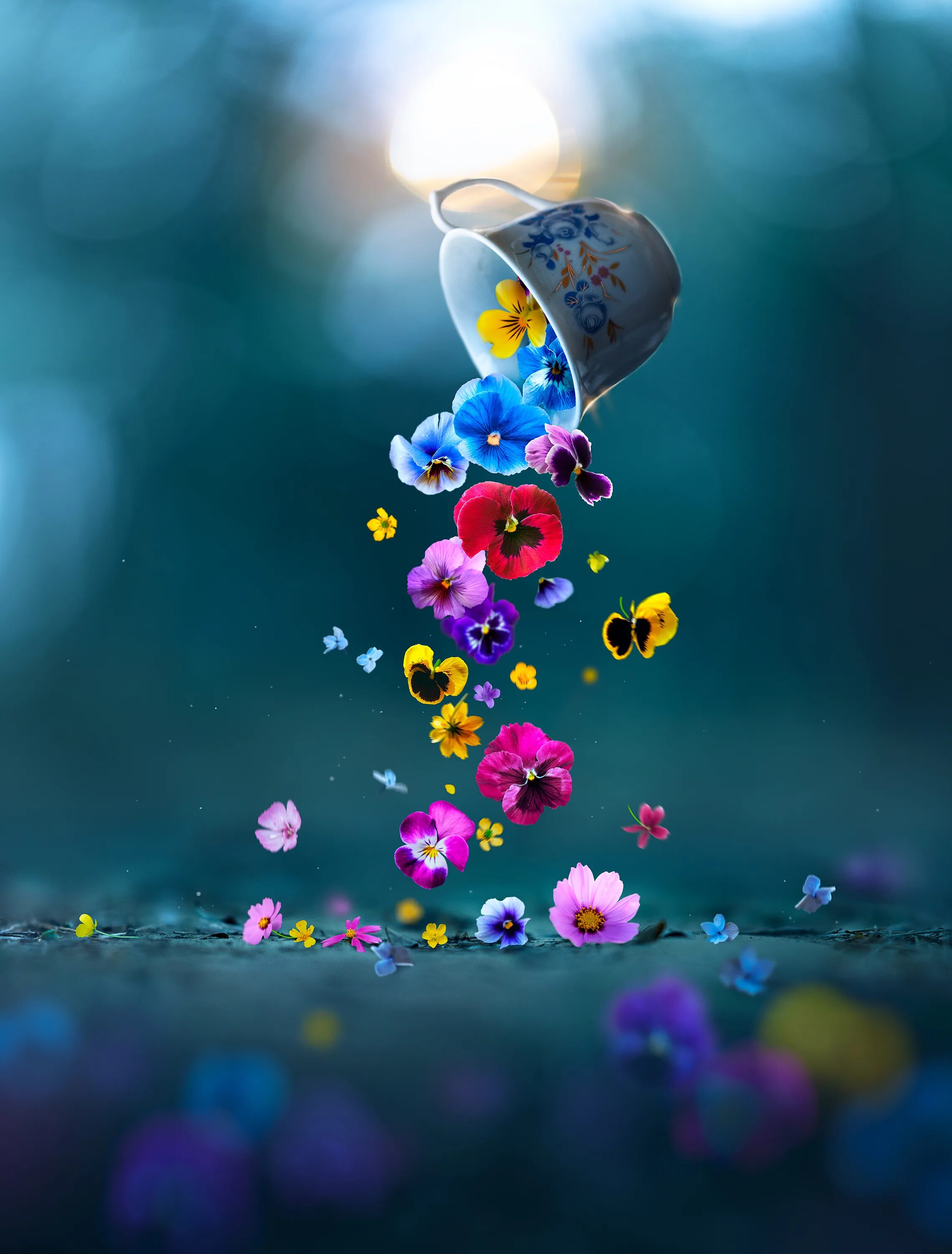 Картинки красивые новые позитивные still life photography Archives - The Phoblographer
