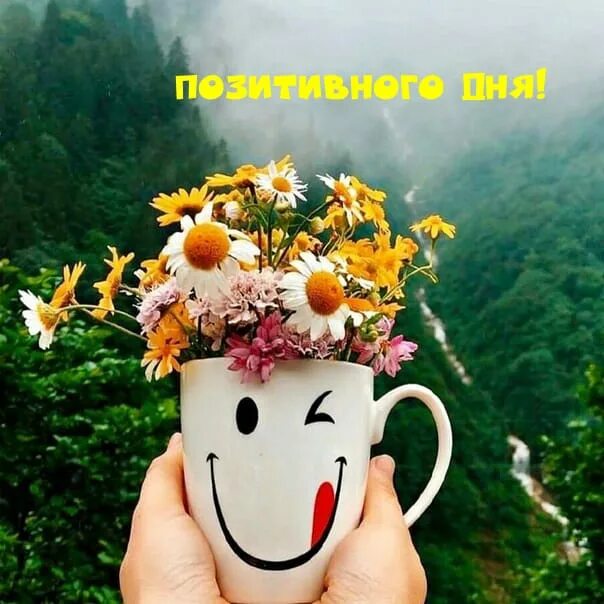 Картинки красивые новые позитивные Ответы Mail.ru: У Вас кружка говорящая?
