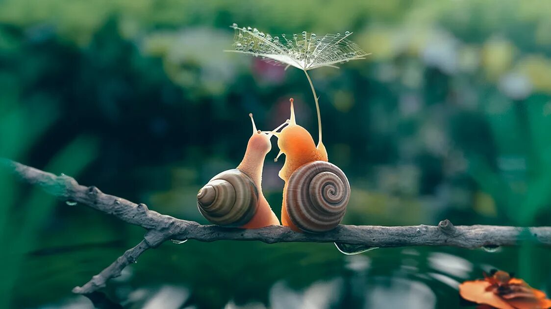 Картинки красивые новые позитивные смешные Hector Mendoza Images :: Photos, videos, logos, illustrations and branding :: Be