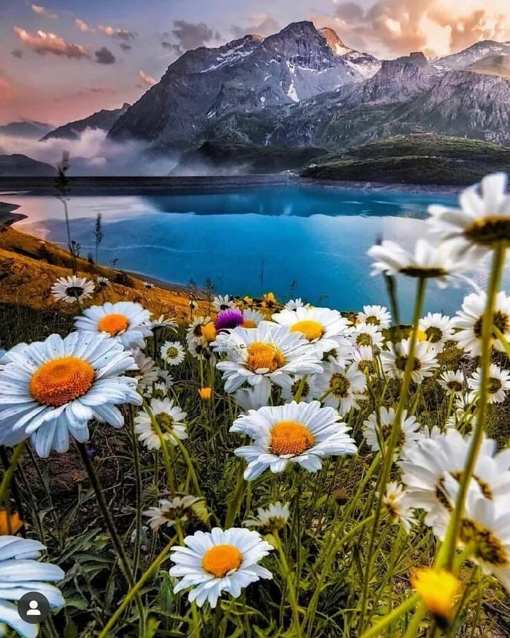 Картинки красивые природа цветы с пожеланиями Pin by Rebecca Riley on Art Landscape Beautiful nature, Scenery pictures, Beauti