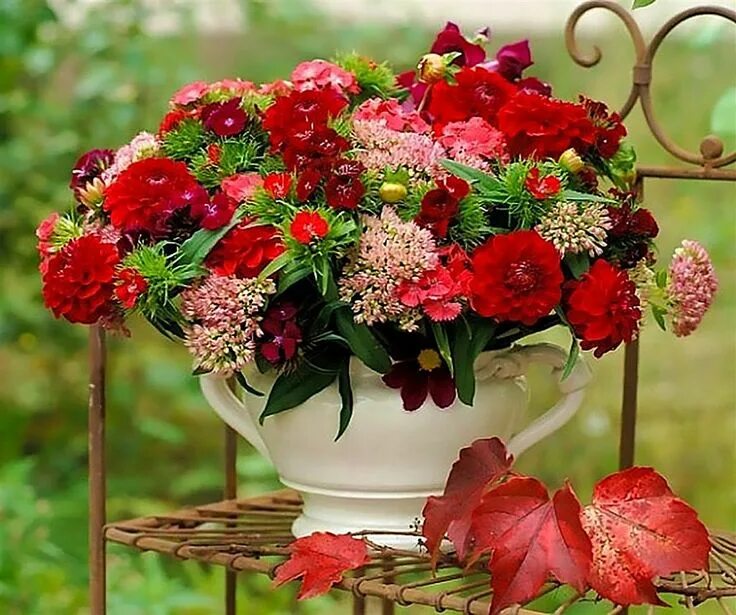 Картинки красивые природа цветы с пожеланиями Pin di Наталья su Цветы2 Bellissimi fiori, Composizioni floreali, Fiori