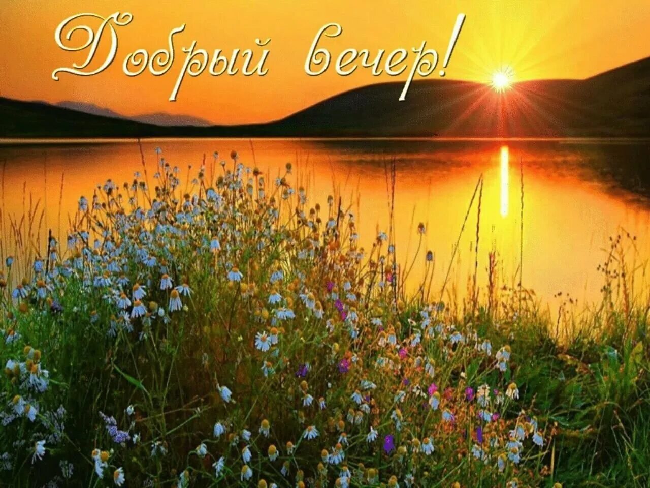 Картинки красивые природа цветы с пожеланиями С добрым весенним утром природа картинки красивые: найдено 83 изображений