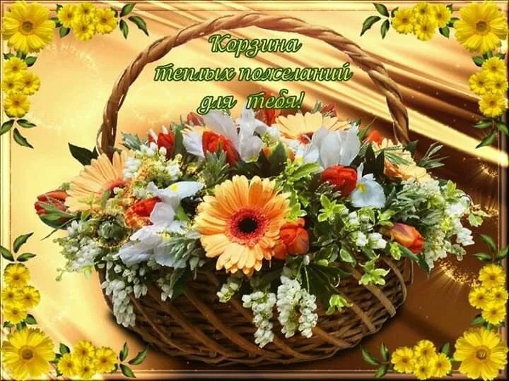 Картинки красивые природа цветы с пожеланиями Пин от пользователя Лёля Galustyan на доске Пожелания, поздравления Корзина, С д