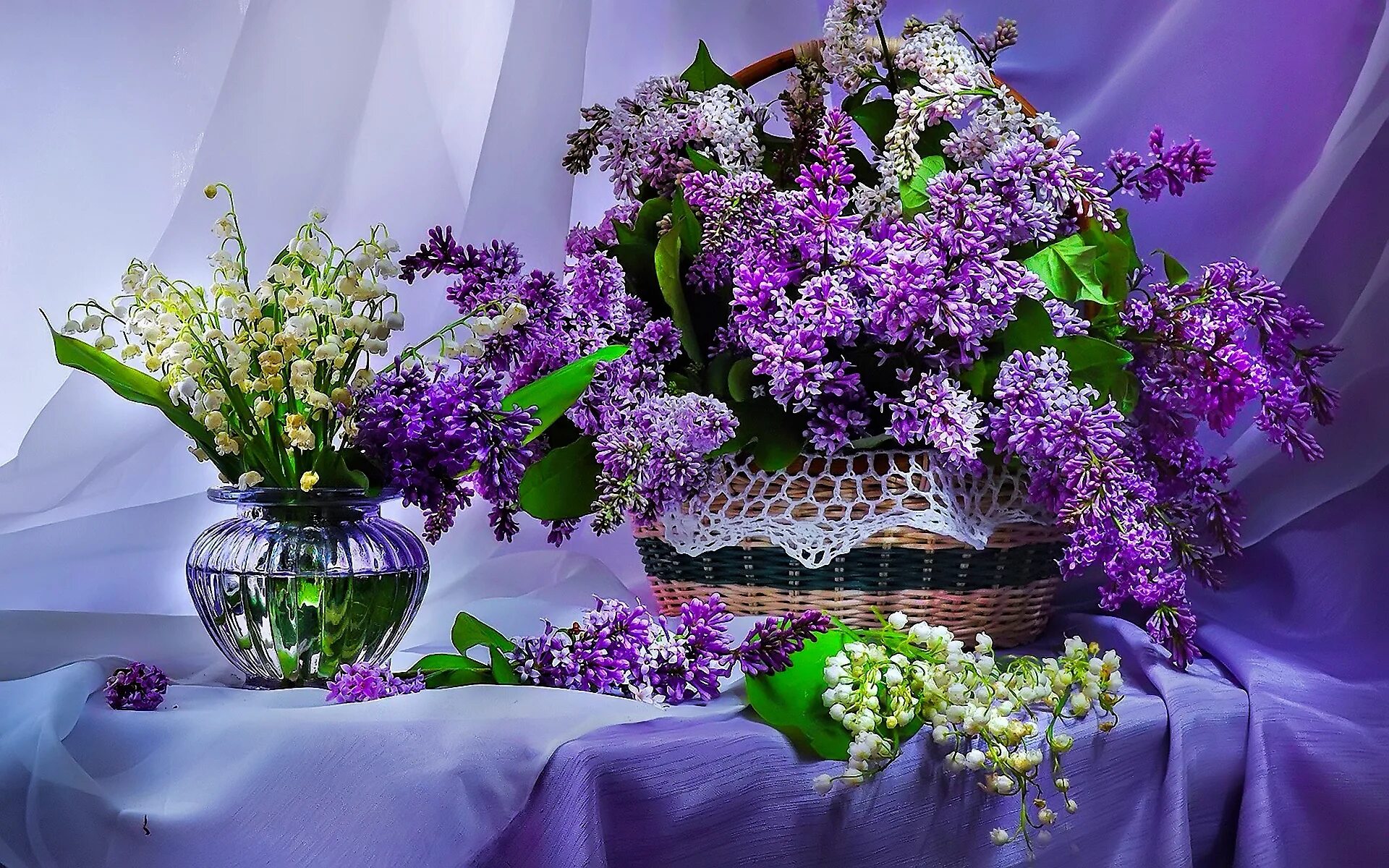Картинки красивые природа цветы с пожеланиями Обои цветы, сирень, букет, красивый, ваза, корзина, весна, стол, сиренвый, голуб