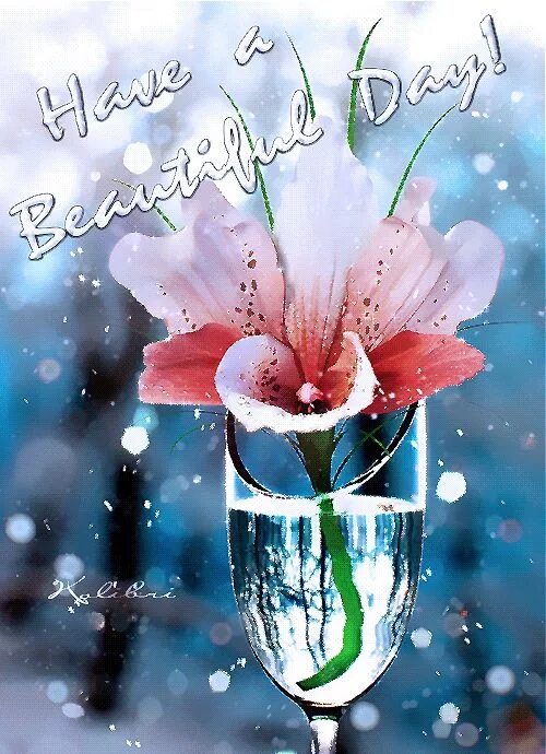 Картинки красивые разные необычные с пожеланиями Блог Колибри: Have a Beautiful Day Выдувное стекло, Красные розы, Винтажные цвет