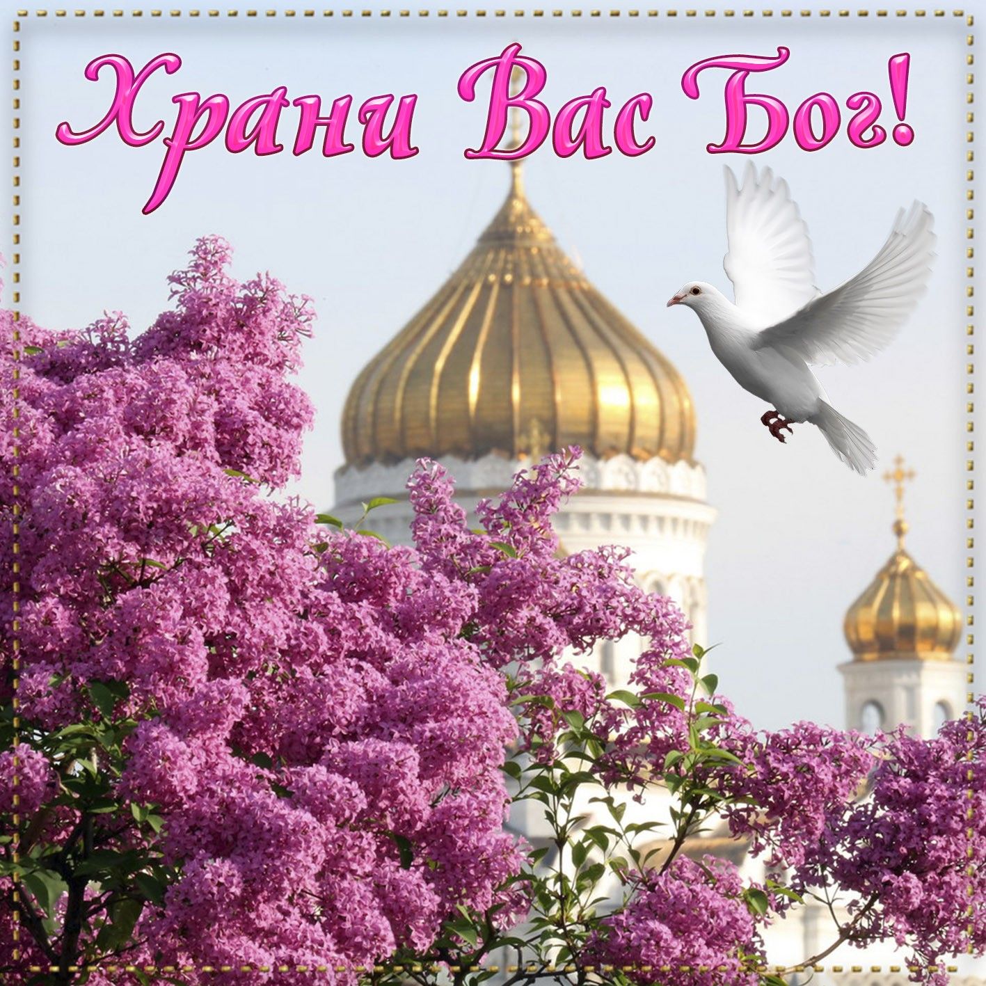 Картинки красивые с божественными пожеланиями Pin on Привітання Photo wall, Rose, Lamp post