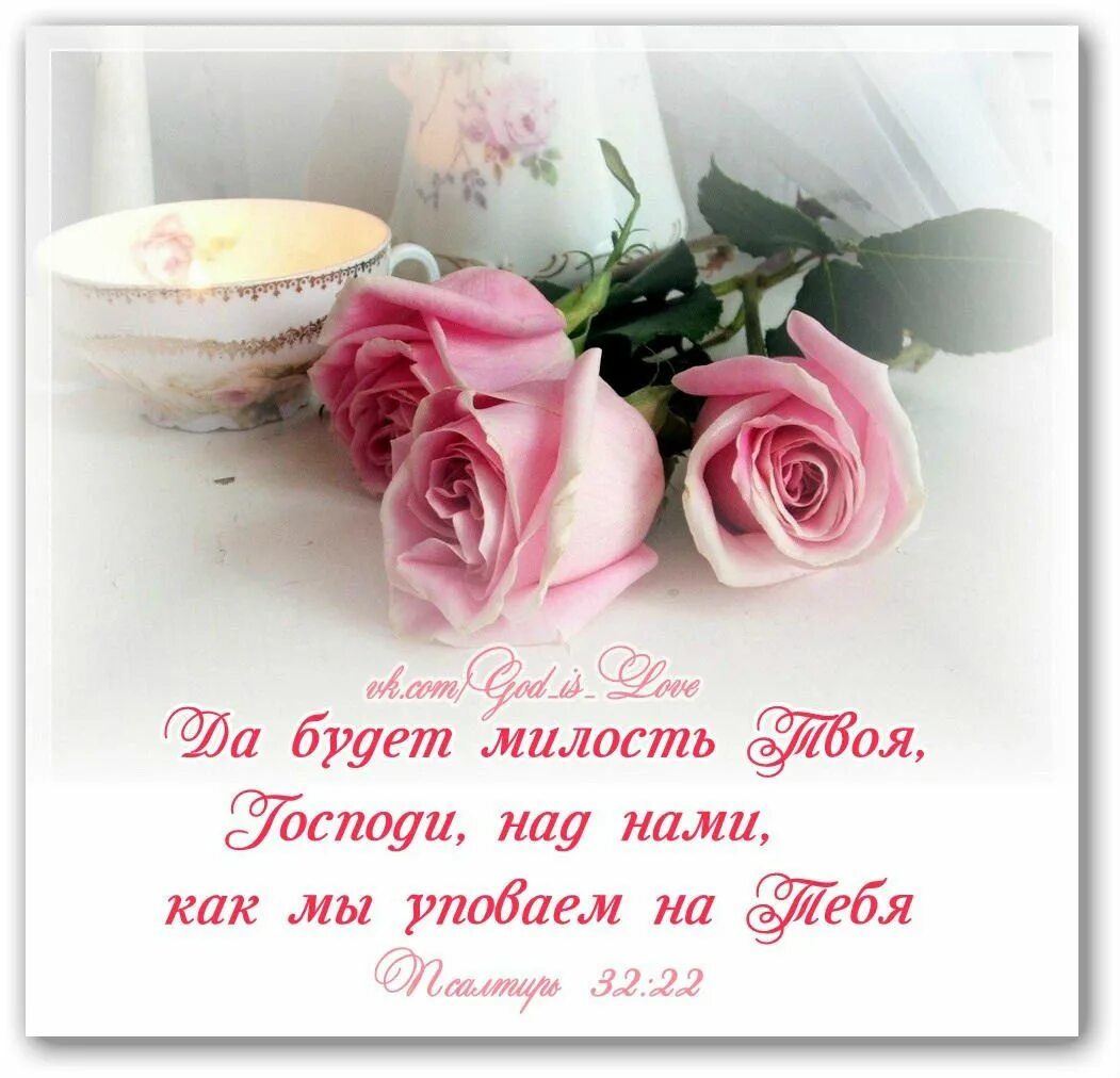 Картинки красивые с божественными пожеланиями Римма Менщикова Christian verses, Biblical verses, Bible verses