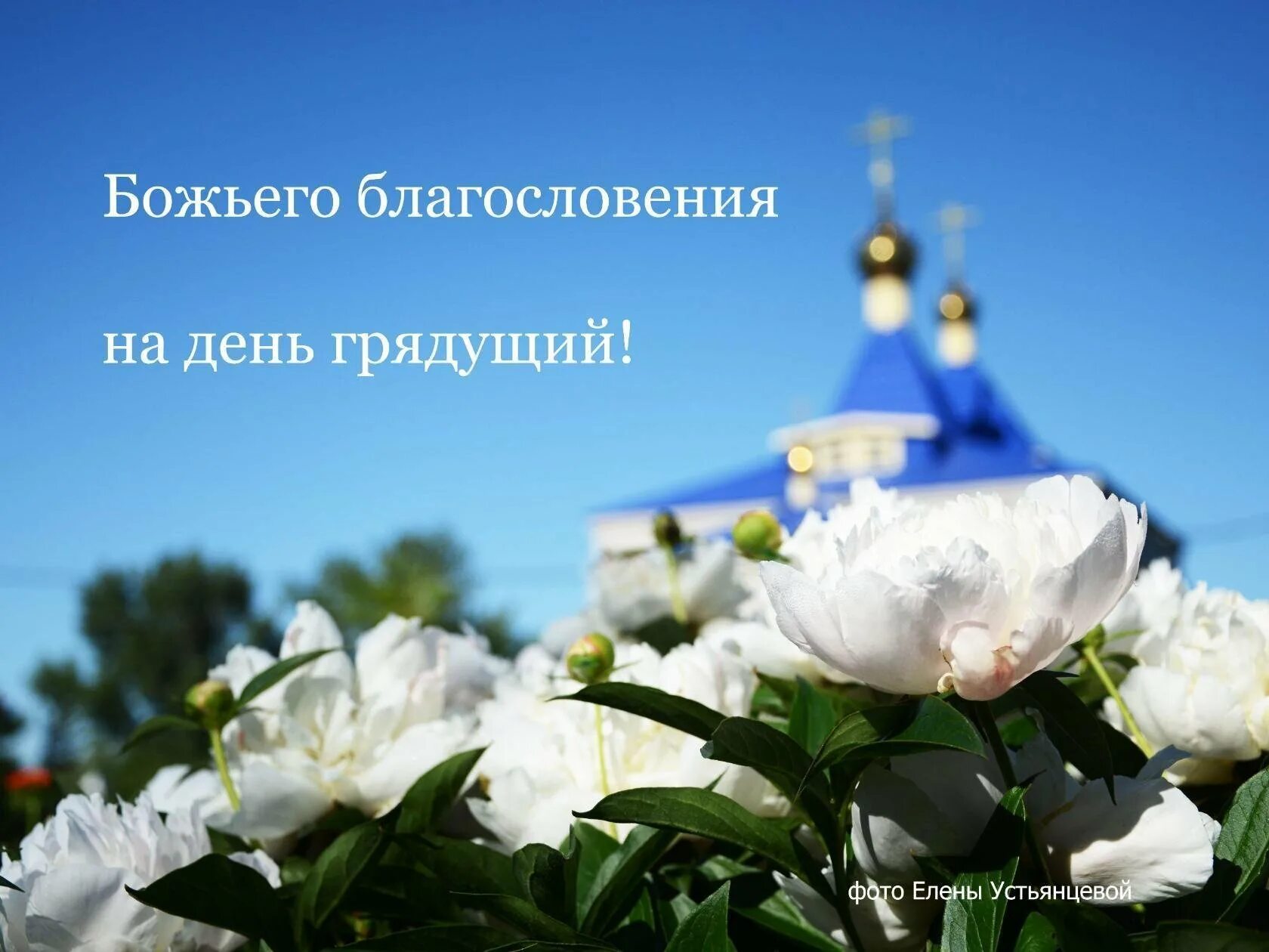Картинки красивые с божественными пожеланиями Картинки с православным добрым днем