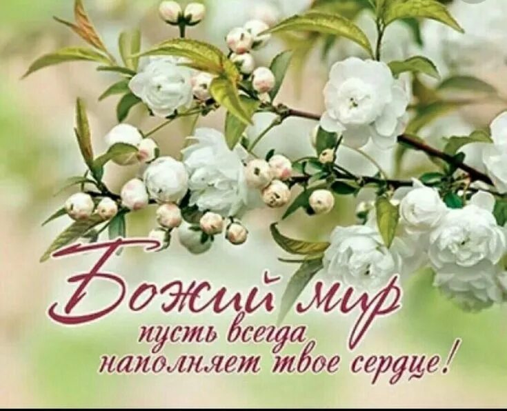 Картинки красивые с божественными пожеланиями Pin on Христианские пожелания Happy birthday cards, Fit girls guide, Christian c