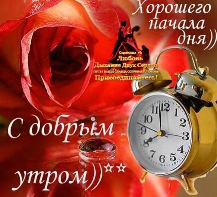 Картинки красивые с добром утром музыкальные Pin by Lesnoebibl on Доброе утро Alarm clock, Good morning, 10 things