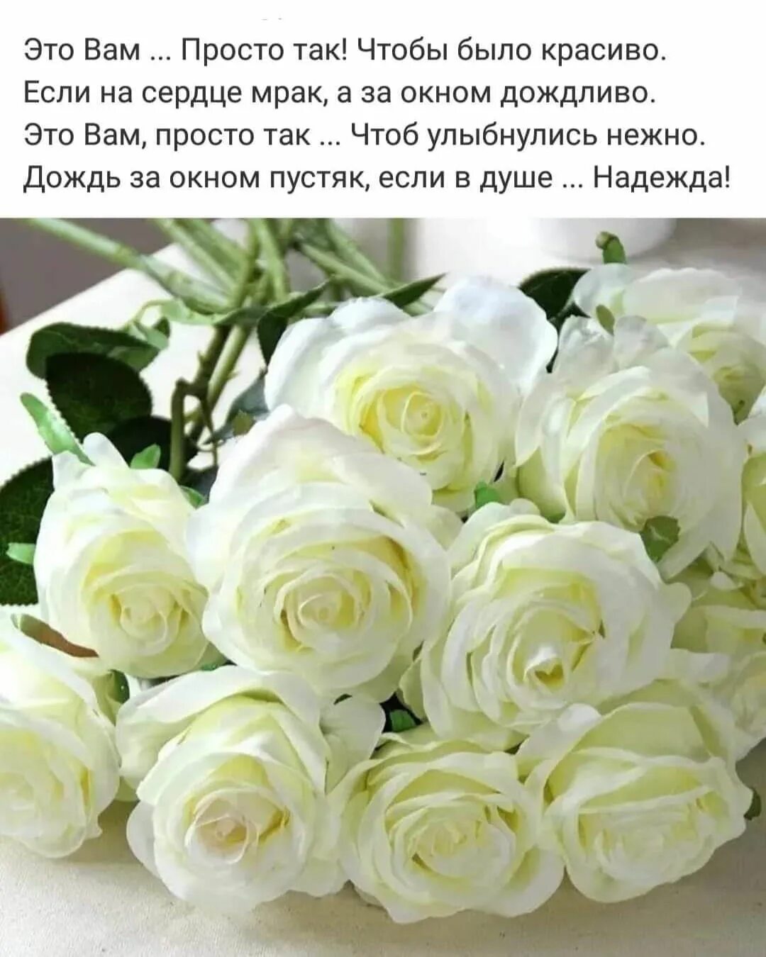 Картинки красивые с пожеланиями белые розы Instagram post by Natalia Elkhova * Nov 4, 2021 at 6:38pm UTC Подарочные поделки