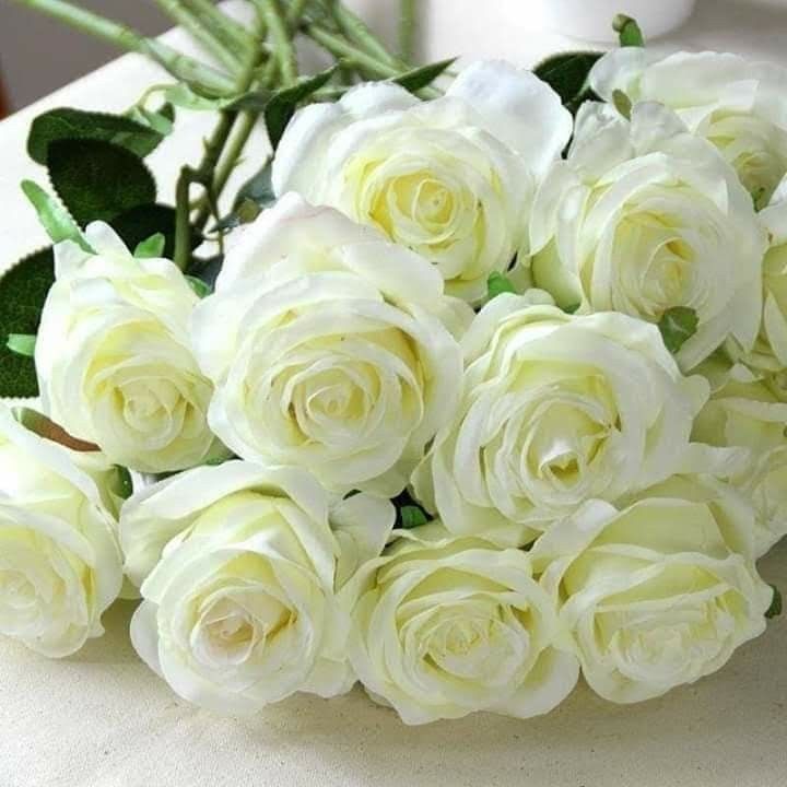 Картинки красивые с пожеланиями белые розы Pin by Лёля Galustyan on Цветы Beautiful flowers, White roses, Amazing flowers