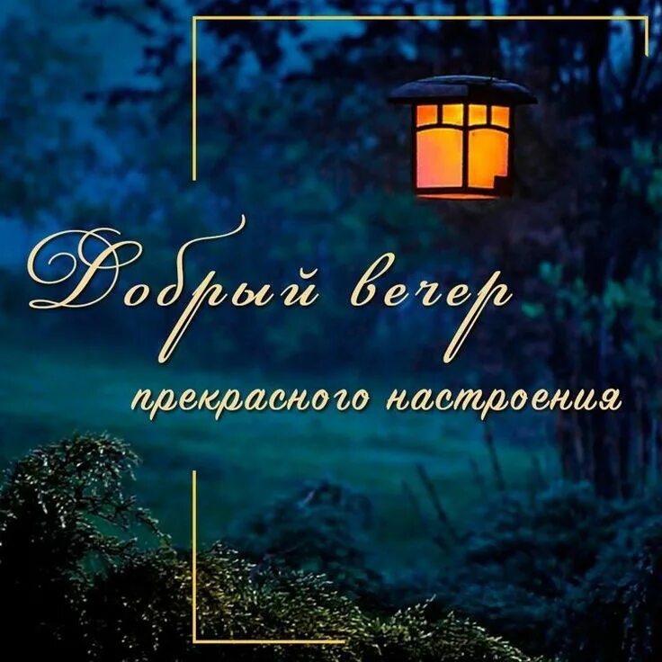 Картинки красивые с пожеланиями мужчине ночь Pin by Светлана Ярина on Вечер Добрый) Movie posters, Lockscreen, Poster