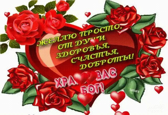 Картинки красивые с пожеланиями от души 92) Одноклассники Christmas wreaths, Christmas ornaments, Beautiful roses