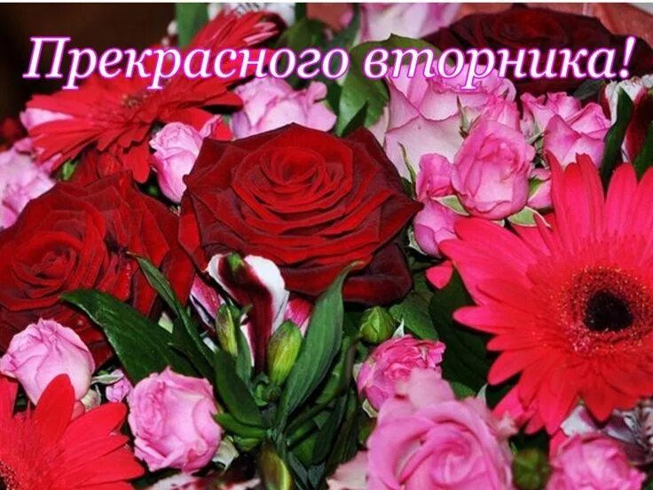 Картинки красивые с пожеланиями прекрасного вторника Пин на доске Дни недели Христианские картинки, Картинки, Утро вторника