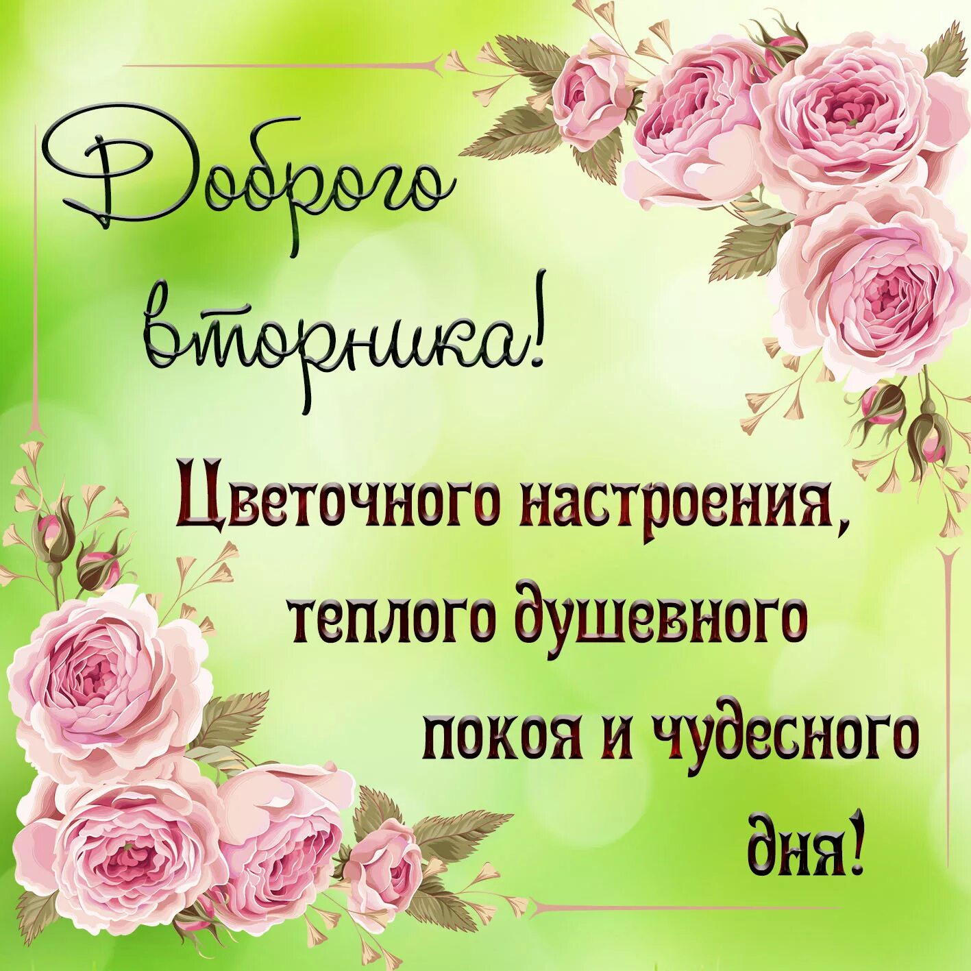 Картинки красивые с пожеланиями прекрасного вторника Открытка с пожеланием доброго вторника