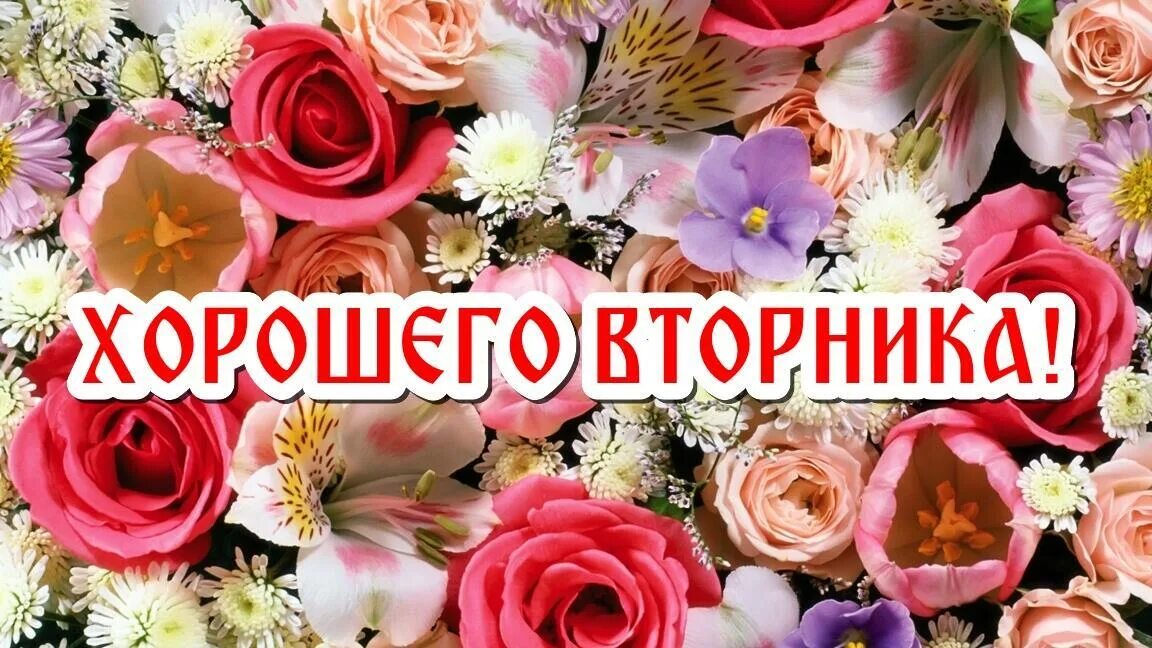 Картинки красивые с пожеланиями прекрасного вторника ВСЕМ ВОСХИТИТЕЛЬНОГО ВТОРНИКА - стихотворение поэта