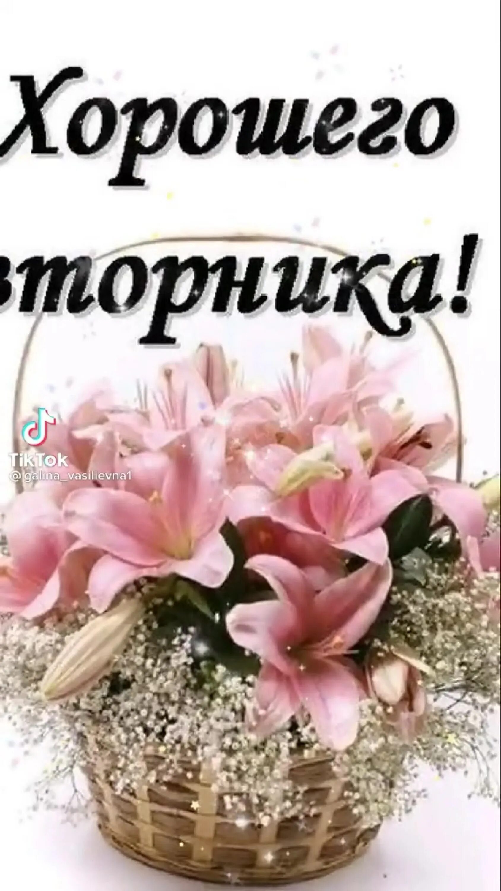 Картинки красивые с пожеланиями прекрасного вторника С добрым утром светлого вторника: найдено 85 изображений
