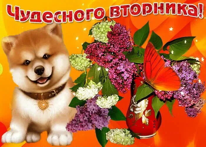 Картинки красивые с пожеланиями прекрасного вторника Открытка С вторником, прекрасного дня Рисунки лягушек, Открытки, Рисунки