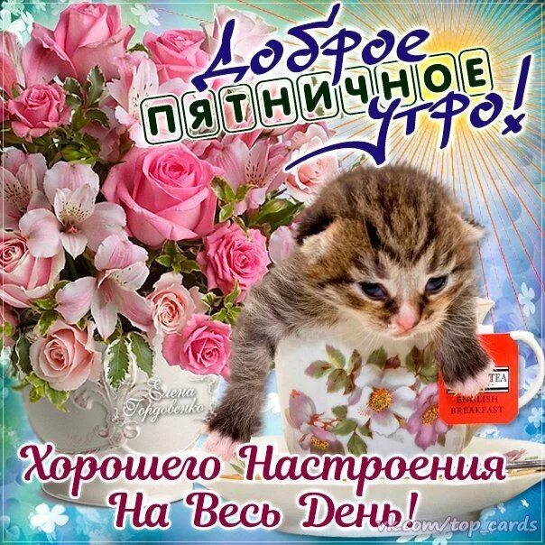 Картинки красивые с пожеланиями прекрасной пятницы Ошибка 429 Смешные открытки, Вдохновляющие фразы, Мотивационные картинки