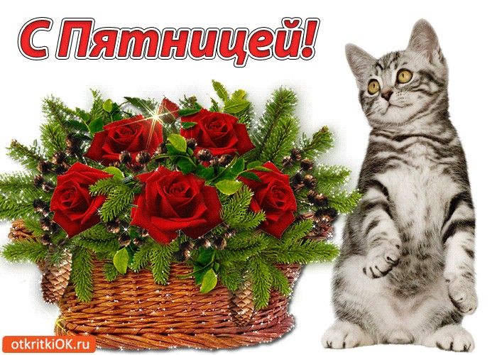 Картинки красивые с пожеланиями прекрасной пятницы Пин на доске Утренние сообщения Сообщения