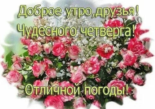 Картинки красивые с пожеланиями прекрасным четвергом Pin em дни недели(открытки)