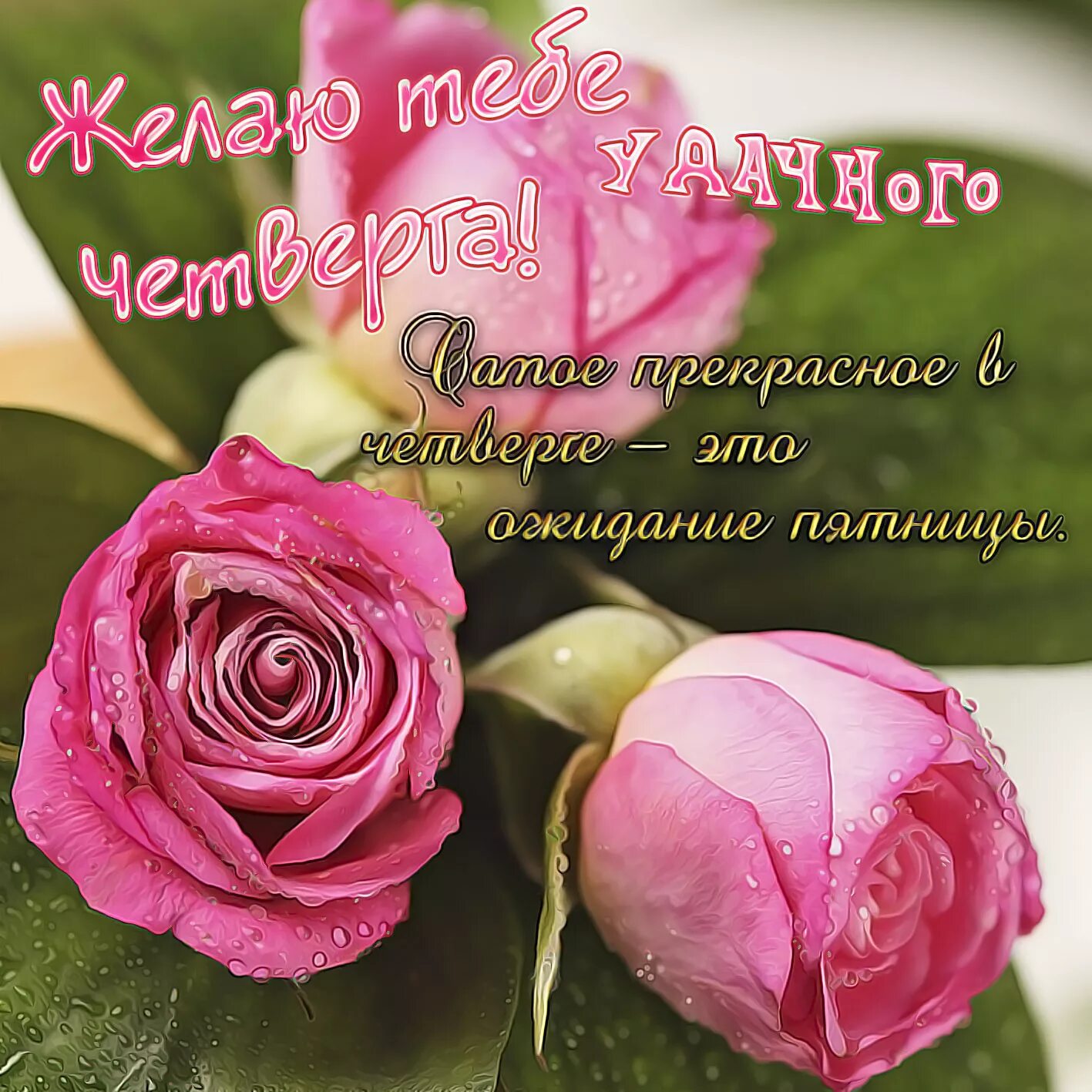Картинки красивые с пожеланиями прекрасным четвергом Открытки на Четверг в Доме Солнца - Страница 9