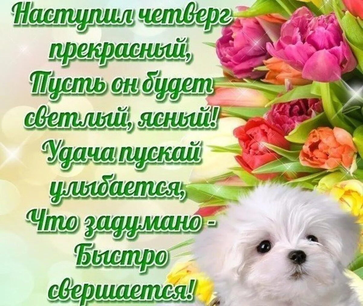Картинки красивые с пожеланиями прекрасным четвергом Дни недели - красивые картинки (100 фото) * Klike.net