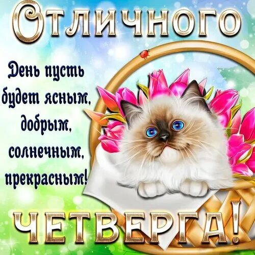 Картинки красивые с пожеланиями прекрасным четвергом Открытка Отличного Четверга!