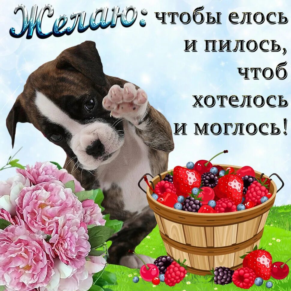 Картинки красивые с пожеланиями прикольные смешные Открытки с красивыми пожеланиями в Доме Солнца - Страница 2