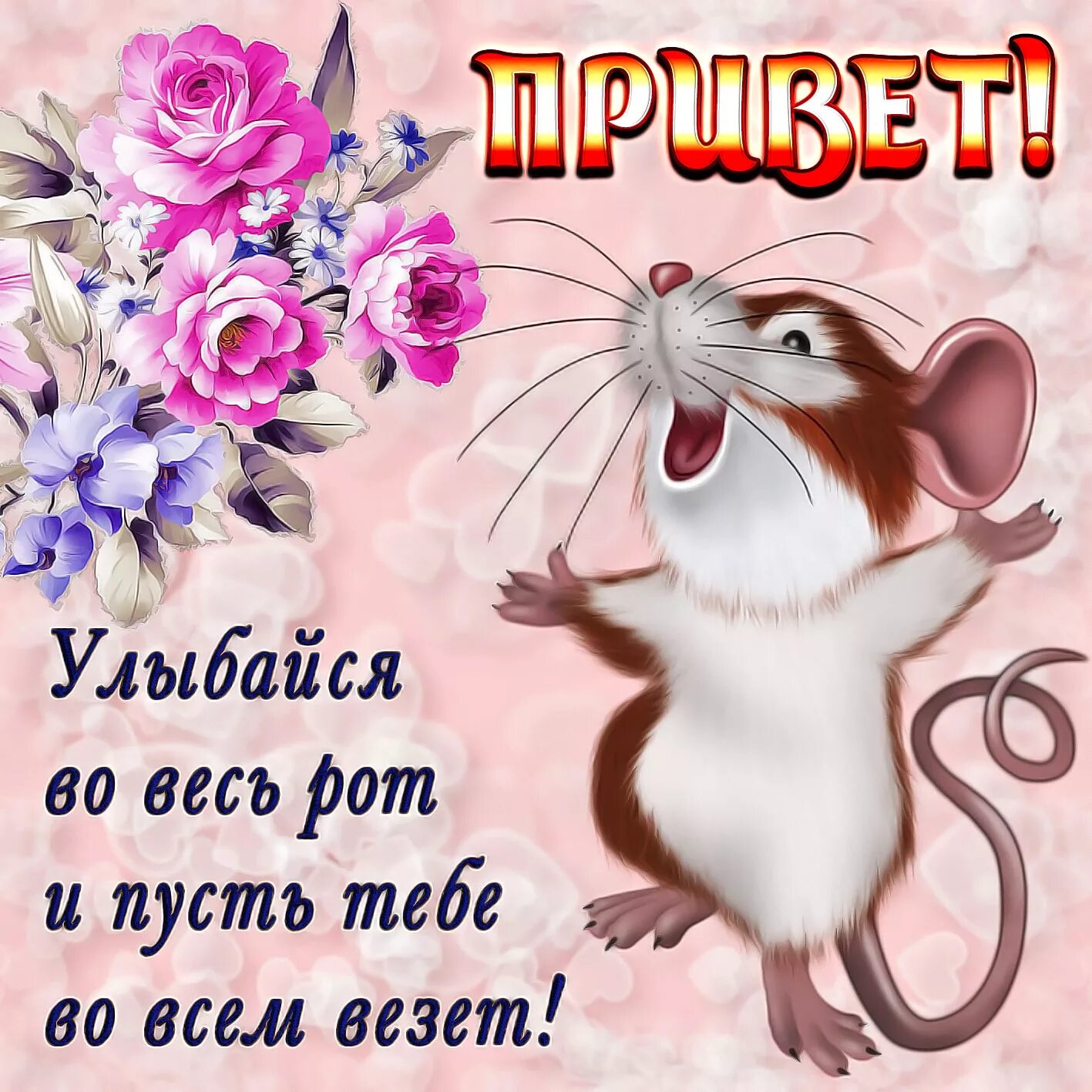 Картинки красивые с пожеланиями прикольные смешные Говорят, под Новый Год многое случается и мечты сбываются! - Страница 114 - План