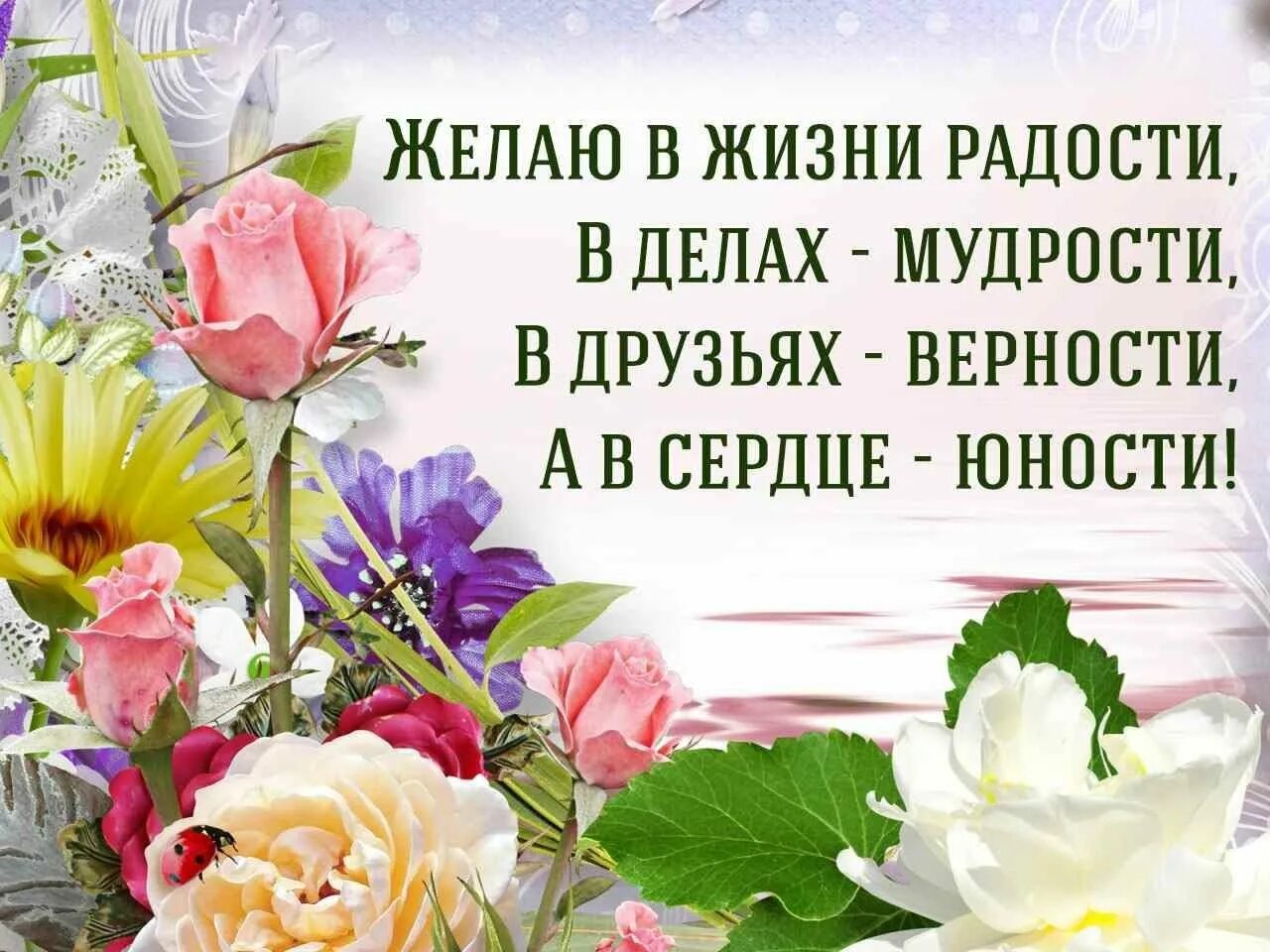 Картинки красивые с пожеланиями про жизнь Картинки с пожеланием жить: найдено 81 изображений