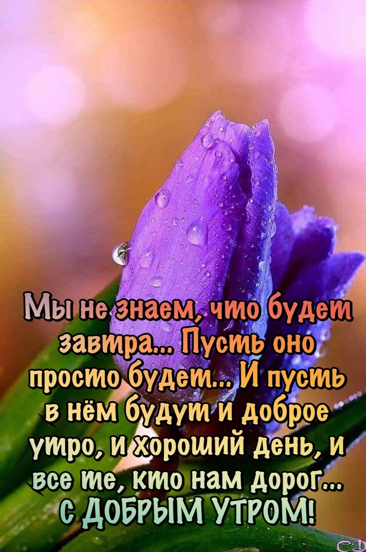 Картинки красивые с пожеланиями про жизнь Пин на доске Доброе утро новое Вдохновляющие цитаты, Утренние сообщения, Позитив