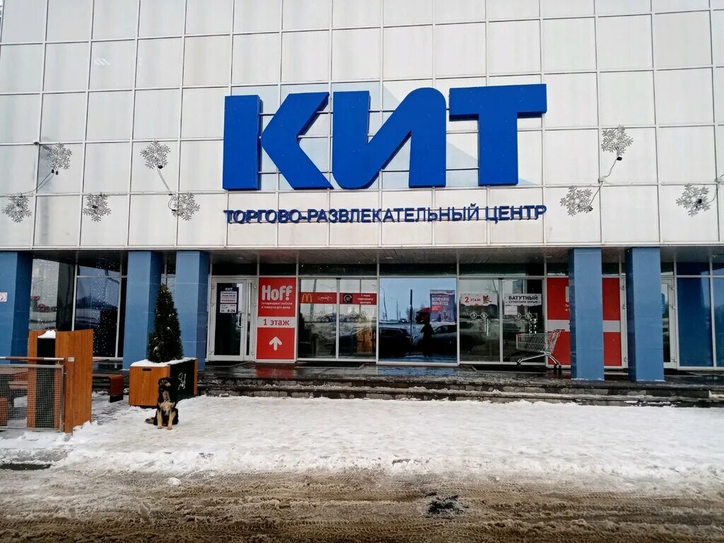Кинодом салмышская ул 71 оренбург фото Панорама: Кит, торговый центр, Салмышская ул., 71, Оренбург - Яндекс Карты