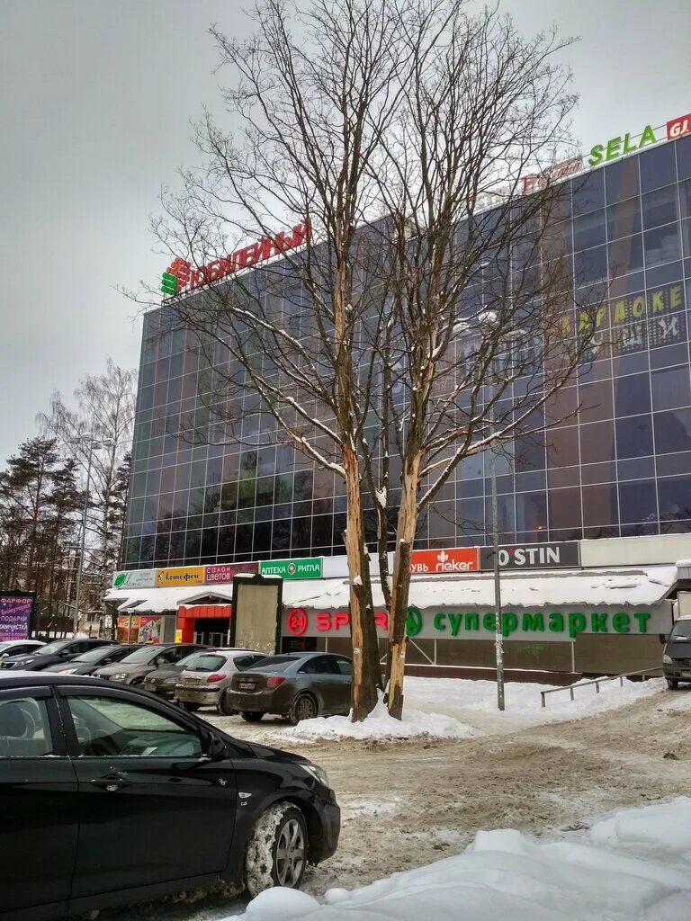 Кинополис октябрьский просп 85 всеволожск фото Kinopolis, cinema, Russia, Vsevolozhsk, Oktyabrskiy prospekt, 85 - Yandex Maps
