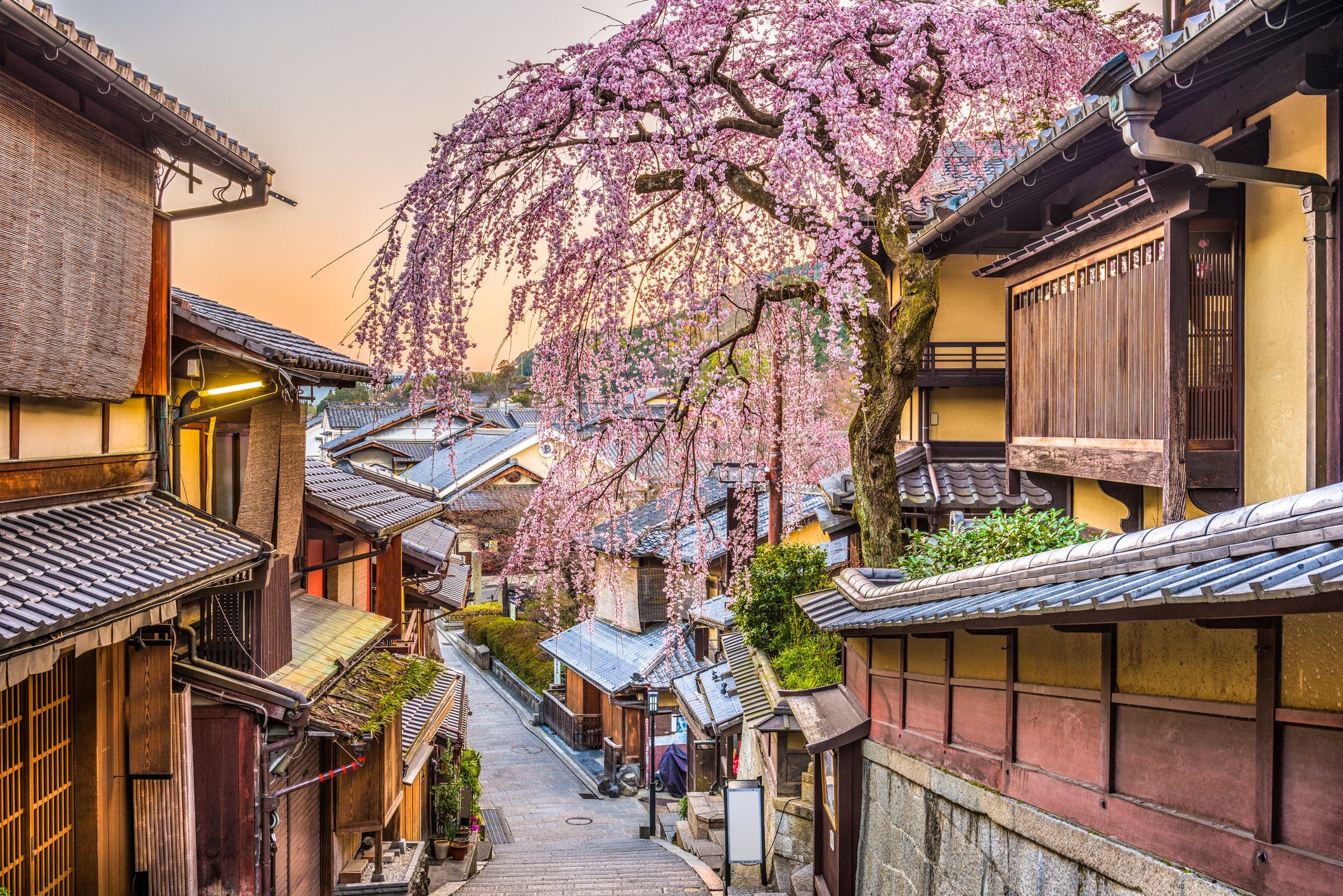 Киото пролетарская ул 49 фото Best couples holiday destinations for 2023 The Independent