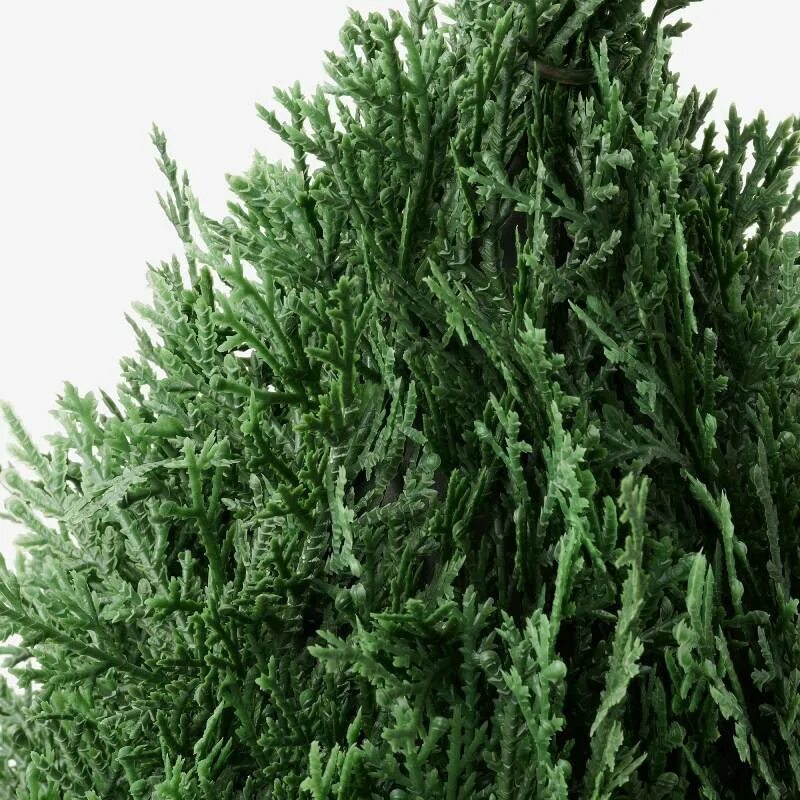 Кипарис ул 25 сентября 16 фото Искусственное растение кипарис IKEA FEJKA Artificial Plant Cypress, зеленый - ку