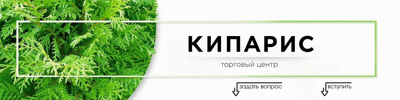 Кипарис ул ленина 159 фото ТЦ Кипарис Иркутск Торговый центр Кипарис - это мебель, предметы декора, бытовая