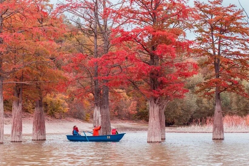 Кипарисовое озеро краснодарский край фото На Кубани пересохло легендарное Кипарисовое озеро