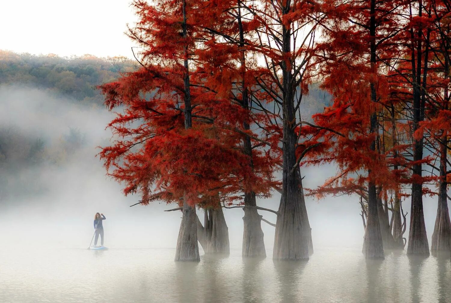 Кипарисовое озеро сегодня фото Photo contest Fog - 35AWARDS