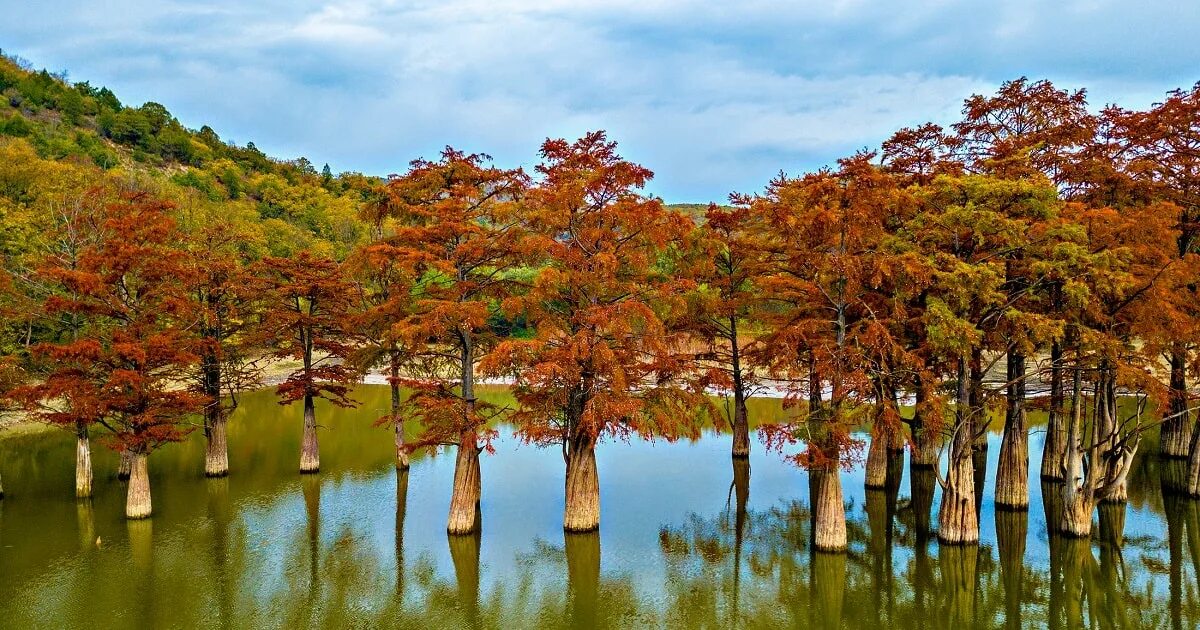 Кипарисовое озеро сукко фото краснодарский край Озеро Сукко в Анапе пересохло