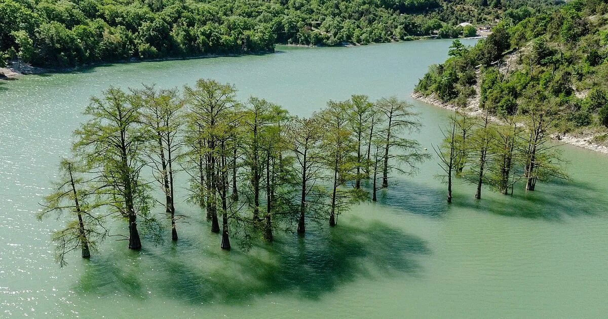 Кипарисовое озеро в анапе фото и отзывы Более 360 тыс. туристов посетили Кипарисовое озеро в Анапе. 10 сентября 2022 г. 