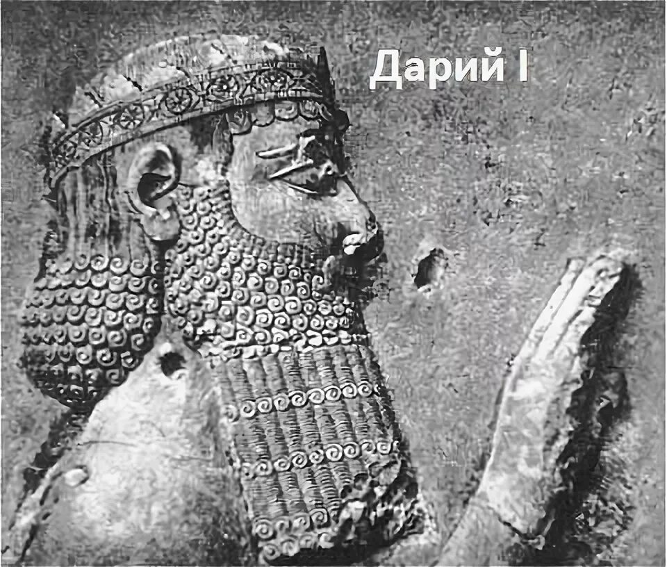 Кир великий фото Противостояние Персии и Греции Музей, Персы, Воительницы
