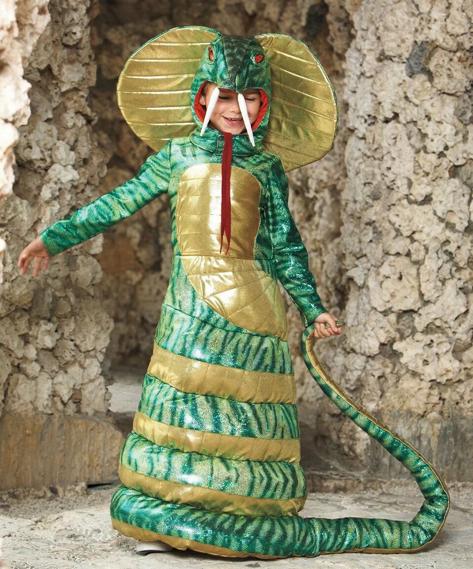 Костюм змеи для мальчика новогодний фото Look at this #zulilyfind! King Cobra Dress-Up Outfit - Kids by chasing fireflies