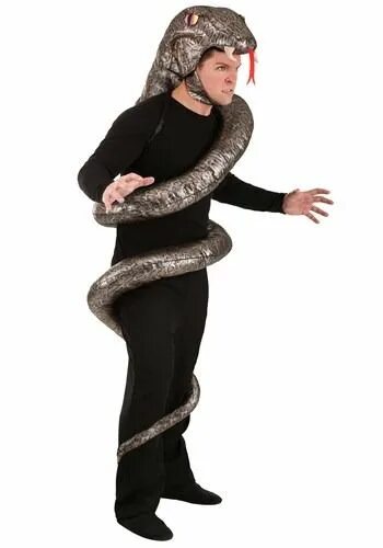 Костюм змеи фото Adult's Slither Snake Costume Snake costume, Adult costumes, Couples costumes