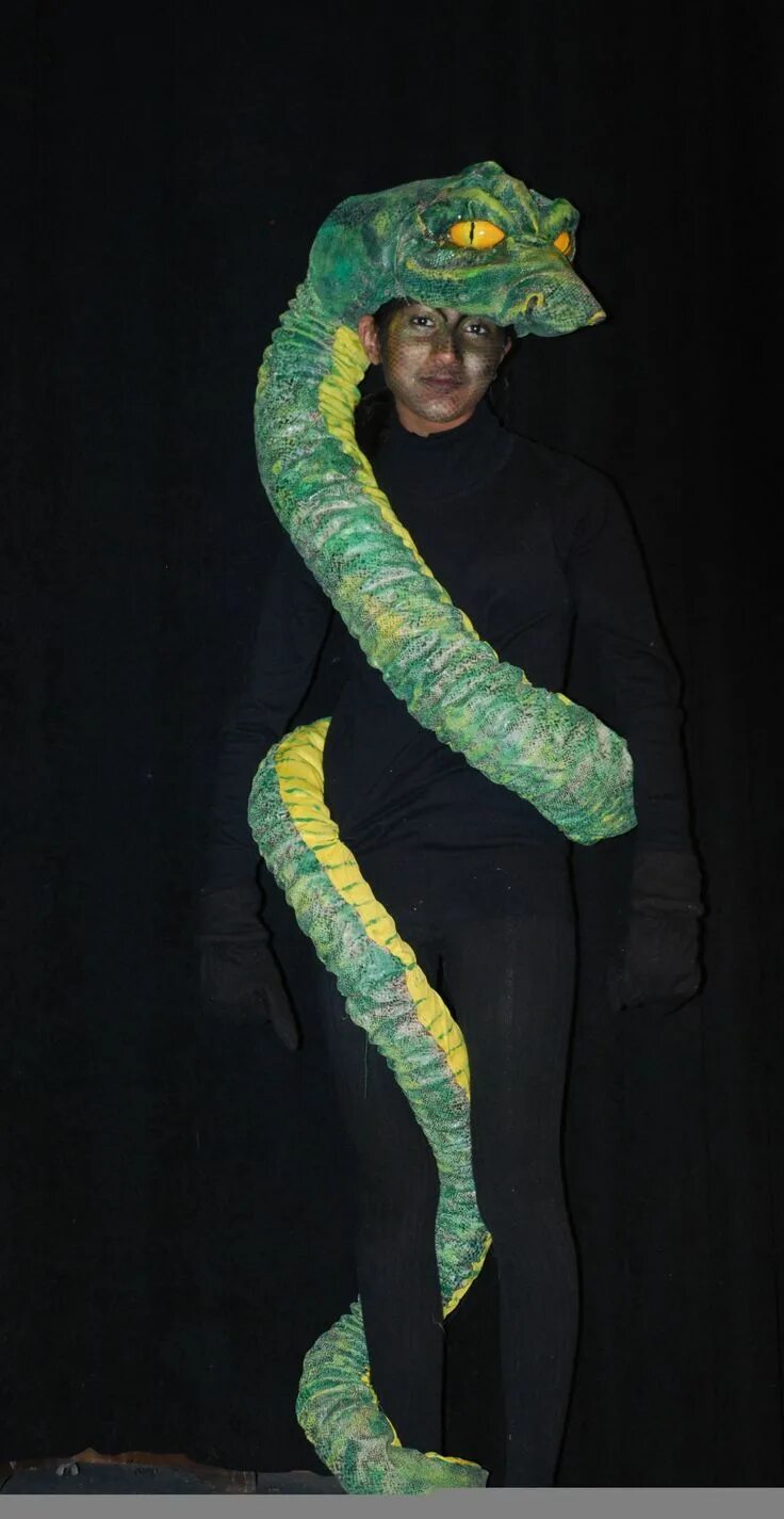 Костюм змеи фото Pin by Heather L. Raines on Little Mermaid Ideas Jungle book costumes, Jungle co