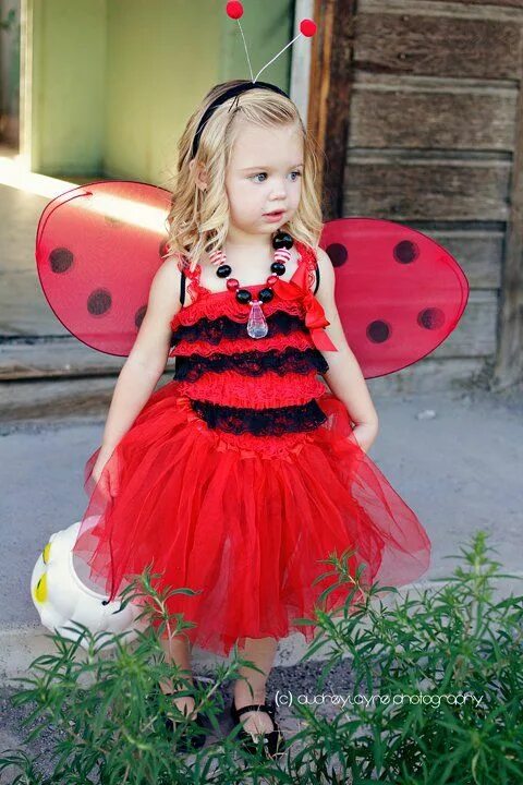 Костюмы для девочки своими руками фото Ladybug costume #halloween Ladybug costume, Bee costume, Halloween costumes for 