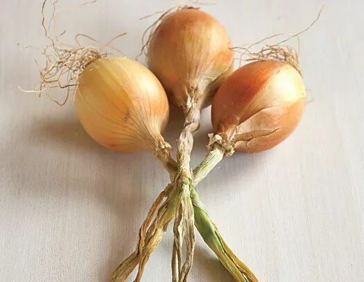 Косы лука фото Good Housekeeping Hearst Food garden, Organic gardening tips, Veggie garden